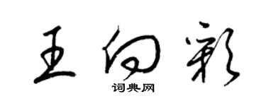 梁锦英王向彩草书个性签名怎么写