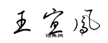 梁锦英王宜凤草书个性签名怎么写