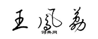 梁锦英王凤荔草书个性签名怎么写