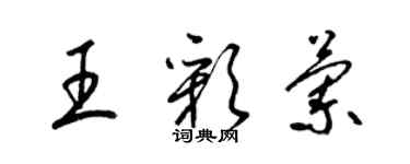 梁锦英王彩兰草书个性签名怎么写