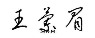 梁锦英王兰眉草书个性签名怎么写