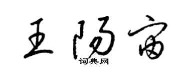 梁锦英王阳宙草书个性签名怎么写