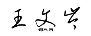 梁锦英王文岑草书个性签名怎么写