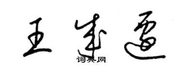 梁锦英王成迁草书个性签名怎么写