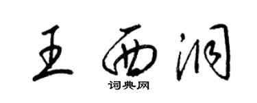梁锦英王西洞草书个性签名怎么写