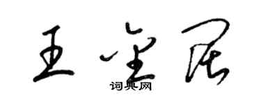 梁锦英王金阔草书个性签名怎么写