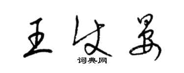 梁锦英王使晏草书个性签名怎么写