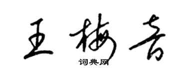 梁锦英王梅音草书个性签名怎么写