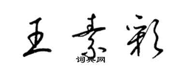 梁锦英王素彩草书个性签名怎么写