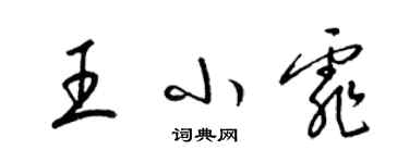 梁锦英王小霏草书个性签名怎么写