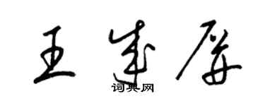 梁锦英王成屏草书个性签名怎么写