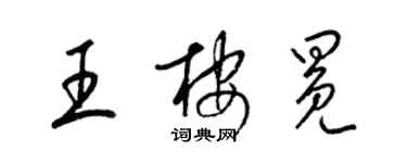 梁锦英王桉冕草书个性签名怎么写