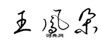 梁锦英王凤朵草书个性签名怎么写