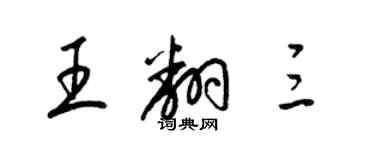 梁锦英王翻三草书个性签名怎么写