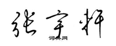 梁锦英张宇轩草书个性签名怎么写
