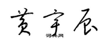 梁锦英黄宇辰草书个性签名怎么写