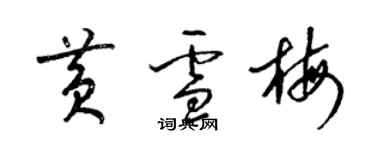 梁锦英黄雪梅草书个性签名怎么写