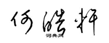 梁锦英何皓轩草书个性签名怎么写