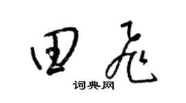 梁锦英田飞草书个性签名怎么写