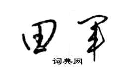 梁锦英田军草书个性签名怎么写
