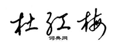梁锦英杜红梅草书个性签名怎么写