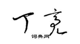 梁锦英丁亮草书个性签名怎么写