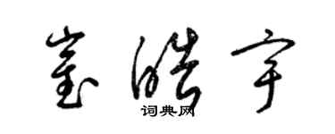 梁锦英崔皓宇草书个性签名怎么写