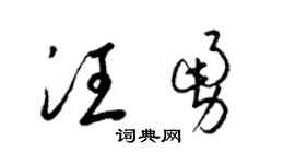 梁锦英汪勇草书个性签名怎么写