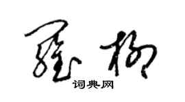 梁锦英罗柳草书个性签名怎么写