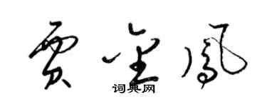 梁锦英贾金凤草书个性签名怎么写