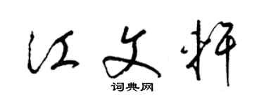 梁锦英江文轩草书个性签名怎么写