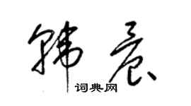 梁锦英韩晨草书个性签名怎么写