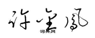 梁锦英许金凤草书个性签名怎么写