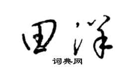 梁锦英田洋草书个性签名怎么写