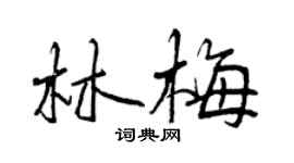 曾庆福林梅行书个性签名怎么写