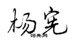曾庆福杨宪行书个性签名怎么写