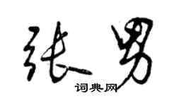 曾庆福张男行书个性签名怎么写