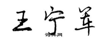 曾庆福王宁军行书个性签名怎么写