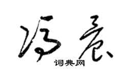 梁锦英冯晨草书个性签名怎么写