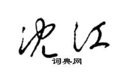 梁锦英沈江草书个性签名怎么写
