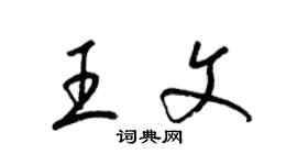 梁锦英王文草书个性签名怎么写