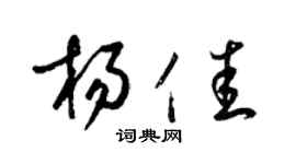 梁锦英杨佳草书个性签名怎么写