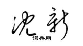 梁锦英沈新草书个性签名怎么写