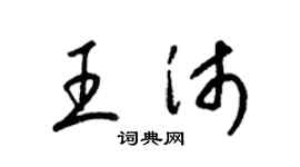 梁锦英王沛草书个性签名怎么写