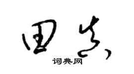 梁锦英田真草书个性签名怎么写