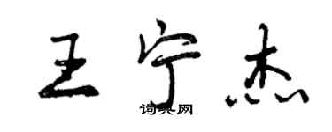 曾庆福王宁杰行书个性签名怎么写