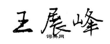 曾庆福王展峰行书个性签名怎么写