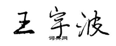 曾庆福王宇波行书个性签名怎么写