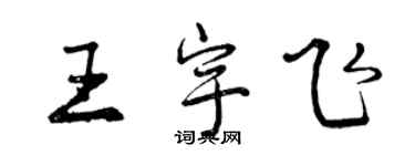 曾庆福王宇飞行书个性签名怎么写