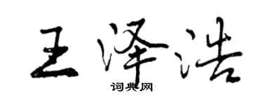 曾庆福王泽浩行书个性签名怎么写